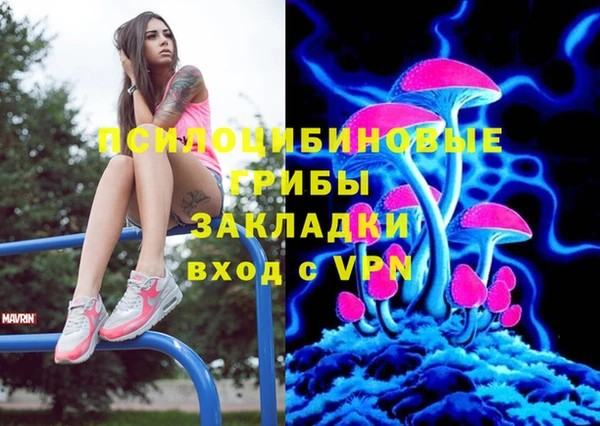 ПСИЛОЦИБИНОВЫЕ ГРИБЫ Абинск