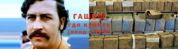 сатива Абаза
