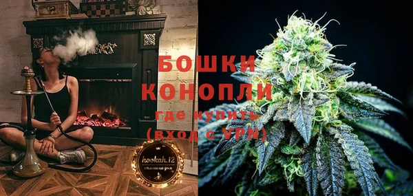 сатива Абаза