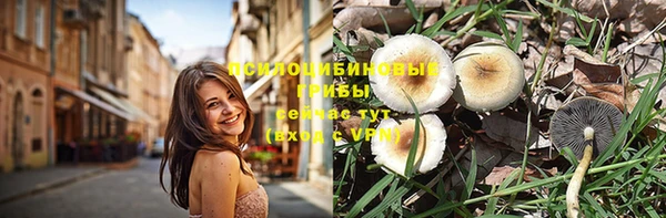 mdpv Алзамай