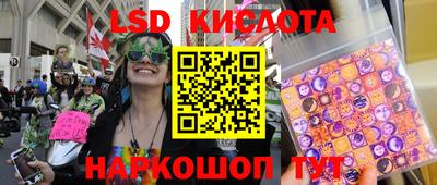 прущие крисы Кандалакша