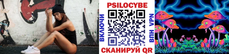 кракен tor  Подольск  Галлюциногенные грибы Cubensis  сколько стоит 