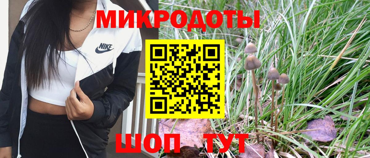 Псилоцибиновые грибы GOLDEN TEACHER  Вход с VPN  Подольск 